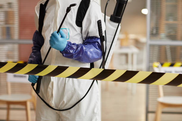 Professional Sewage Cleanup technician working in Ceres, CA